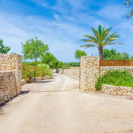 Short De Conies 2 Villa Manacor (Mallorca)